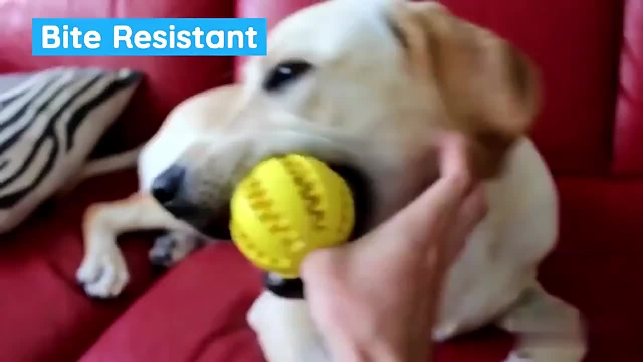 [Interactive Toy] Interactive Dog Ball Toy | 1pc | Durable Plastic | Treat Dispenser, Chew & Tooth Cleaning | Fun and Healthy Play for Puppies and Dogs | All Breeds | Cartoon Design | Functional Pet Accessory