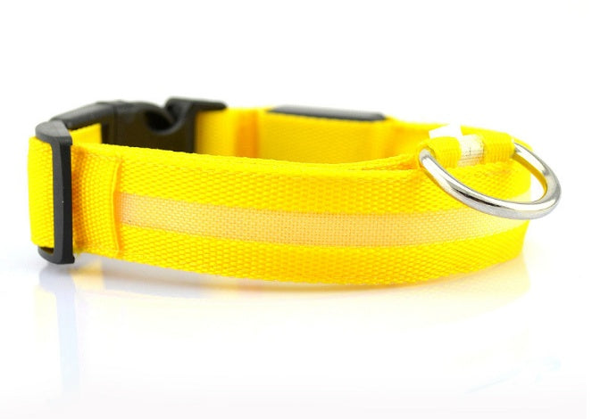 Safety Dog LED Collar - Your Gift Ideas