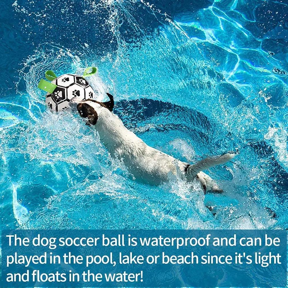 Interactive Dog Football - Your Gift Ideas