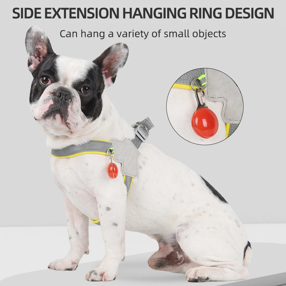 ShineSafe Pet Harness