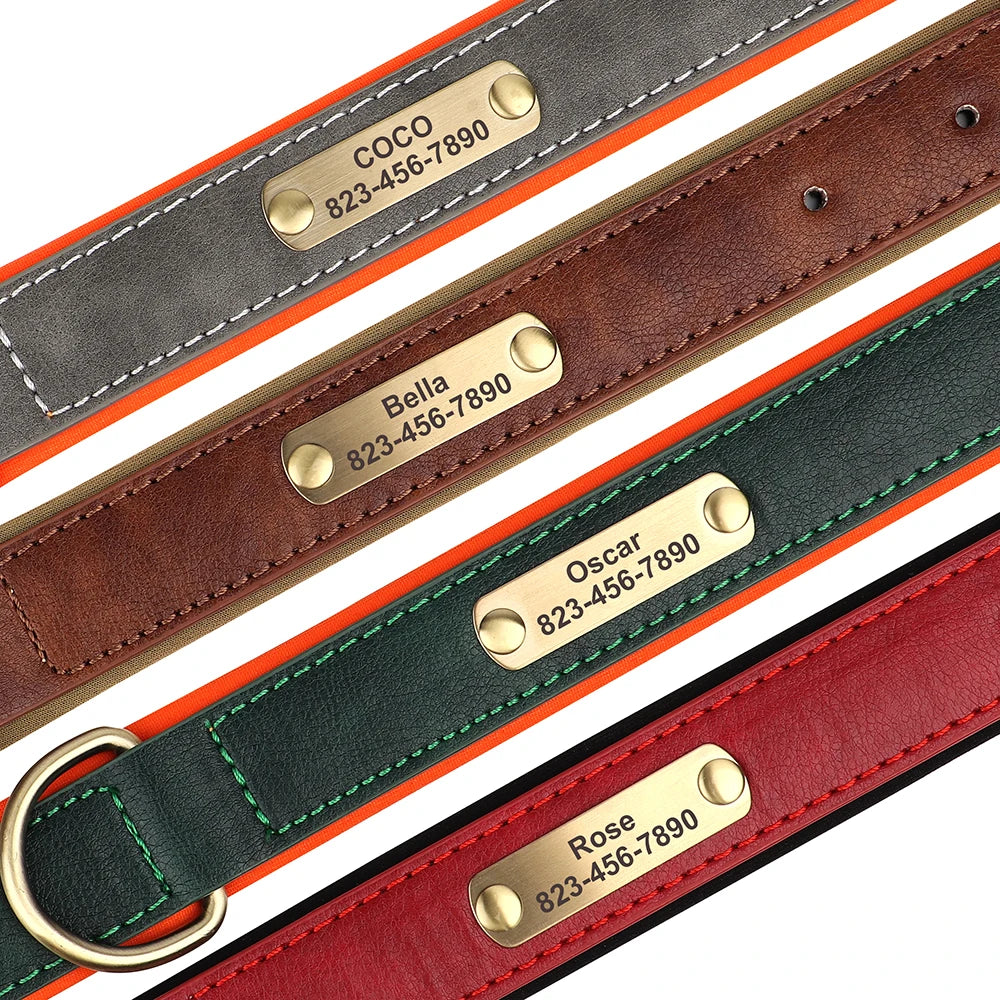 Engraved Leather Dog Collar - Custom ID Tag