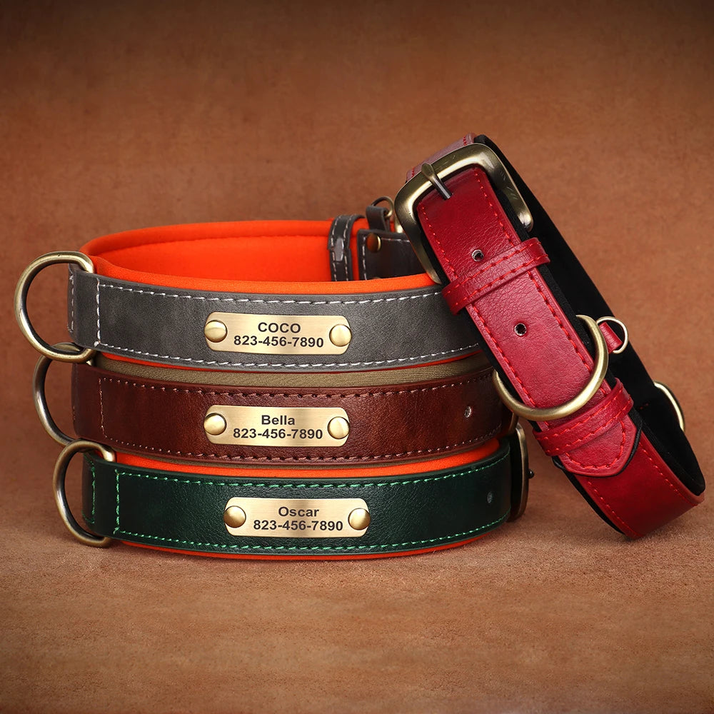 Engraved Leather Dog Collar - Custom ID Tag
