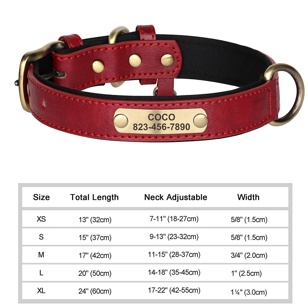 Engraved Leather Dog Collar - Custom ID Tag