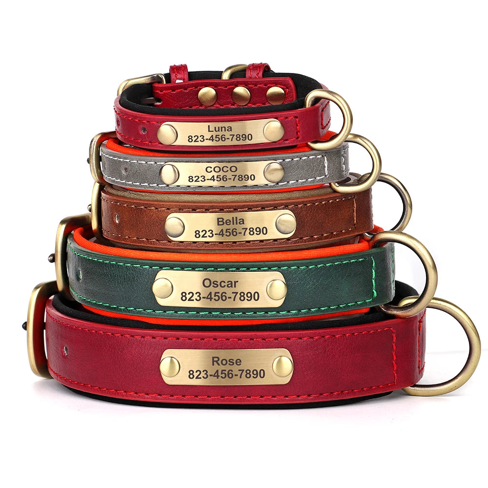 Engraved Leather Dog Collar - Custom ID Tag