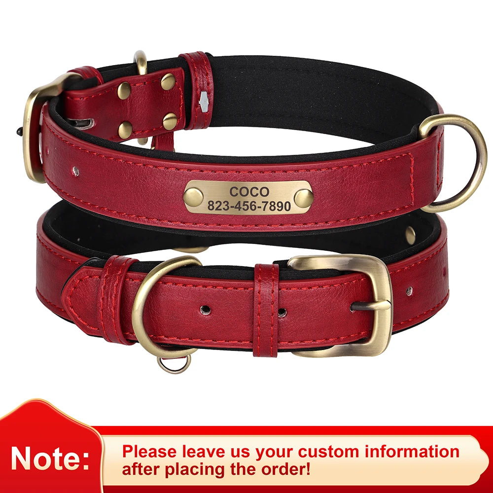 Engraved Leather Dog Collar - Custom ID Tag