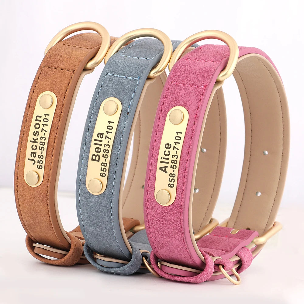 Engraved Leather Dog Collar - Custom ID Tag