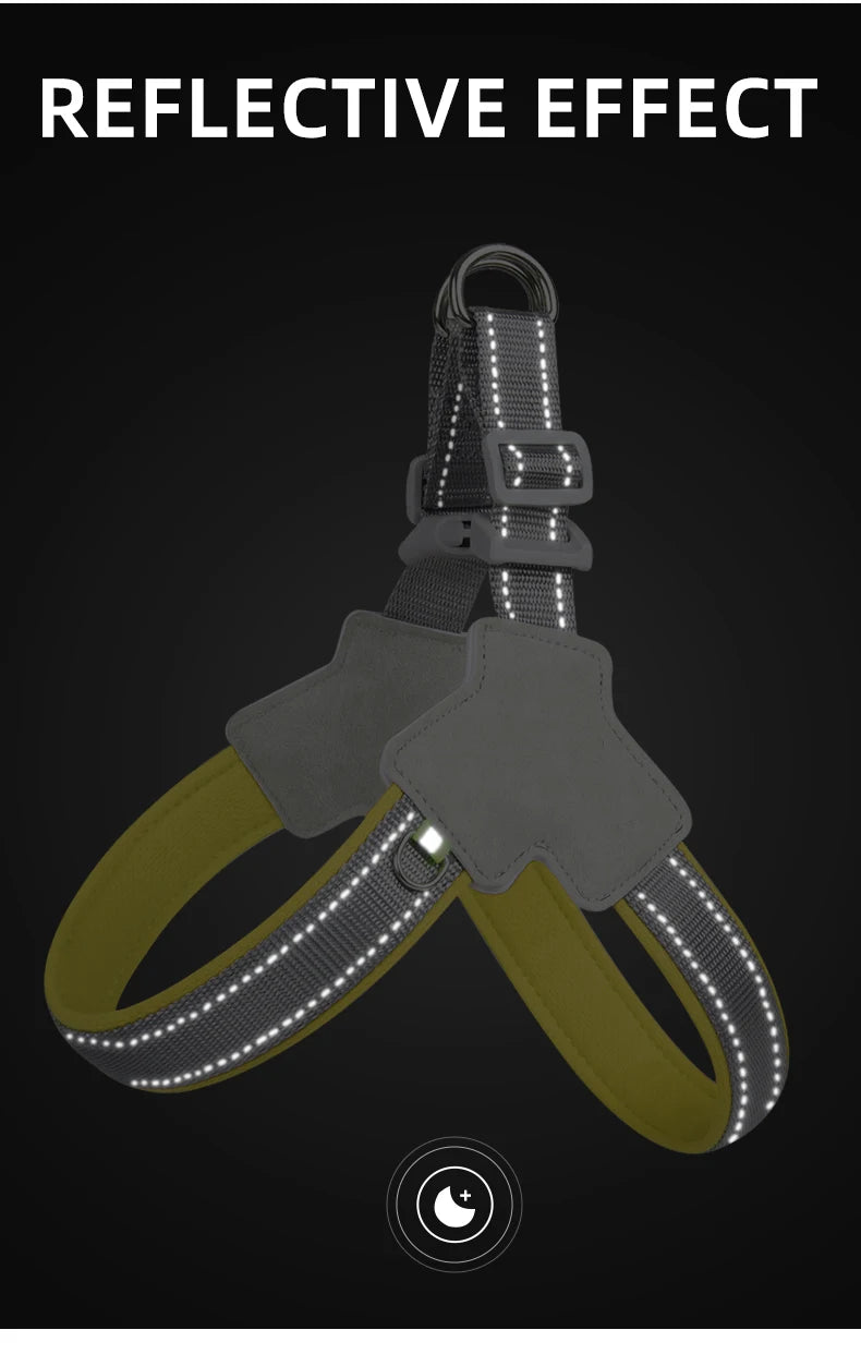 ShineSafe Pet Harness