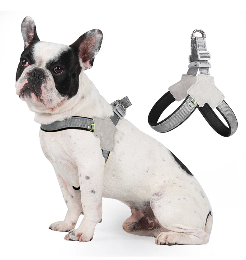 ShineSafe Pet Harness