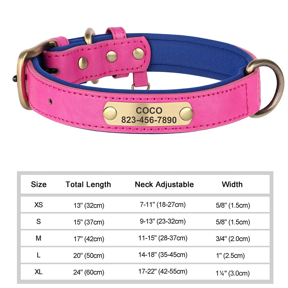 Engraved Leather Dog Collar - Custom ID Tag