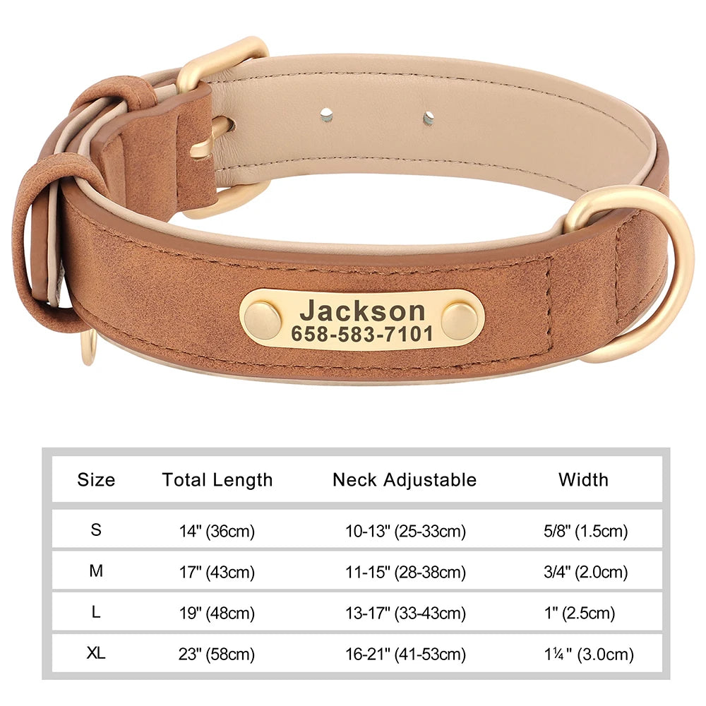 Engraved Leather Dog Collar - Custom ID Tag