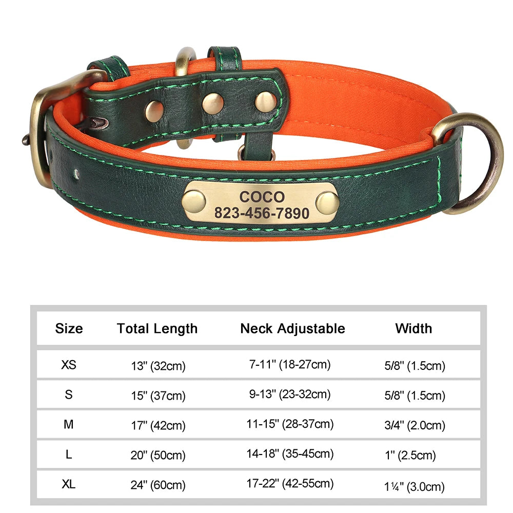 Engraved Leather Dog Collar - Custom ID Tag