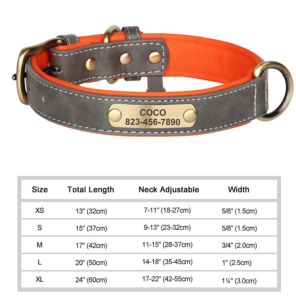 Engraved Leather Dog Collar - Custom ID Tag