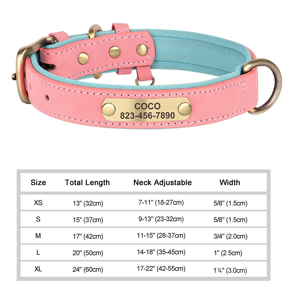 Engraved Leather Dog Collar - Custom ID Tag