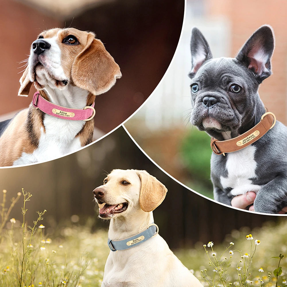 Engraved Leather Dog Collar - Custom ID Tag
