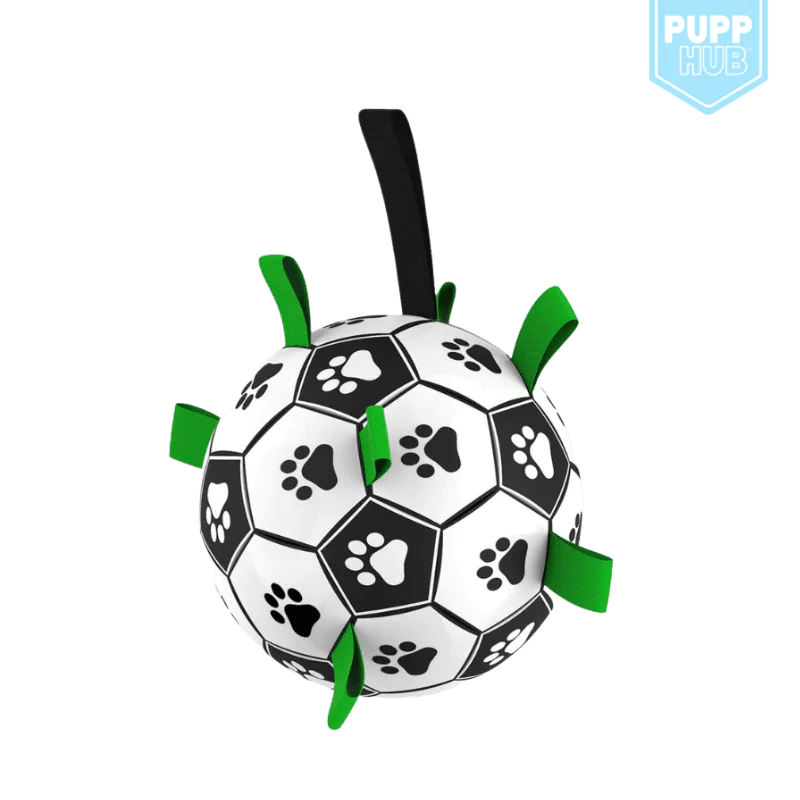 Interactive Dog Football - Your Gift Ideas