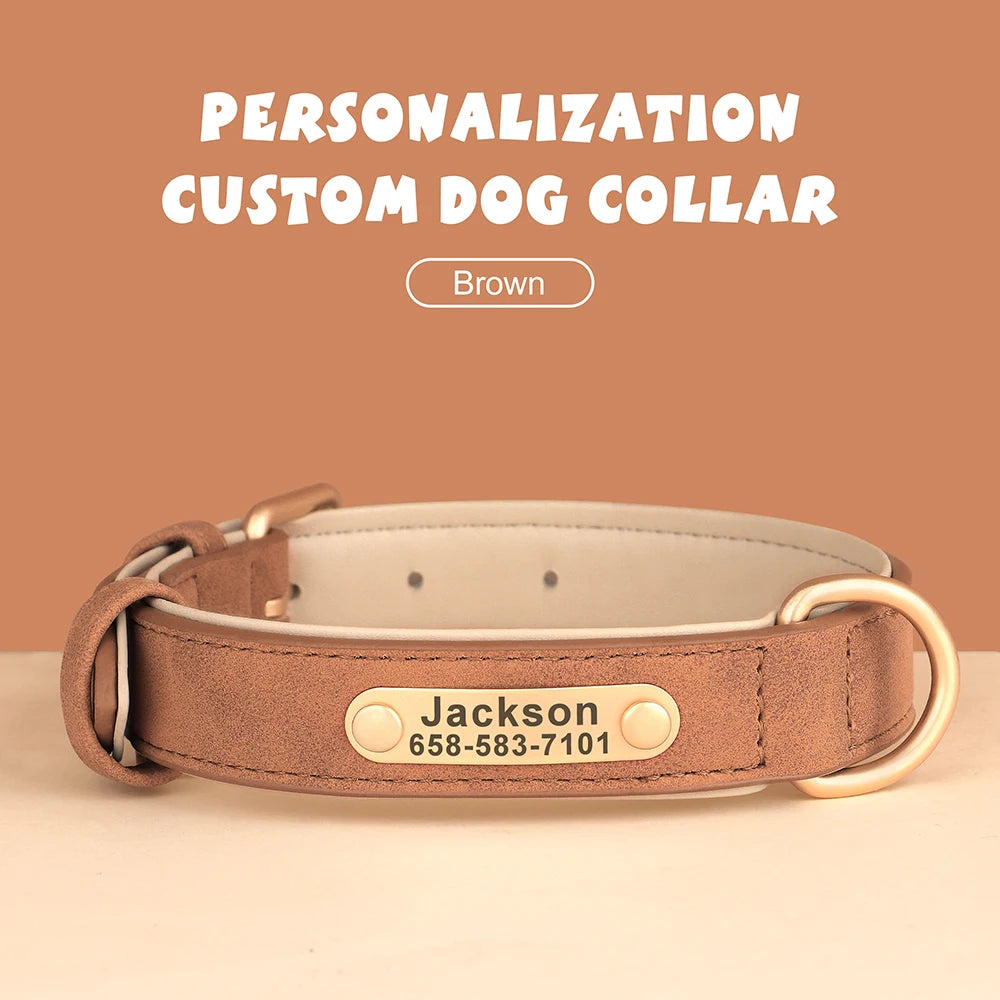 Engraved Leather Dog Collar - Custom ID Tag