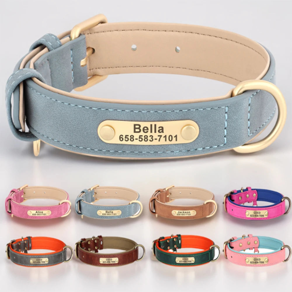 Engraved Leather Dog Collar - Custom ID Tag