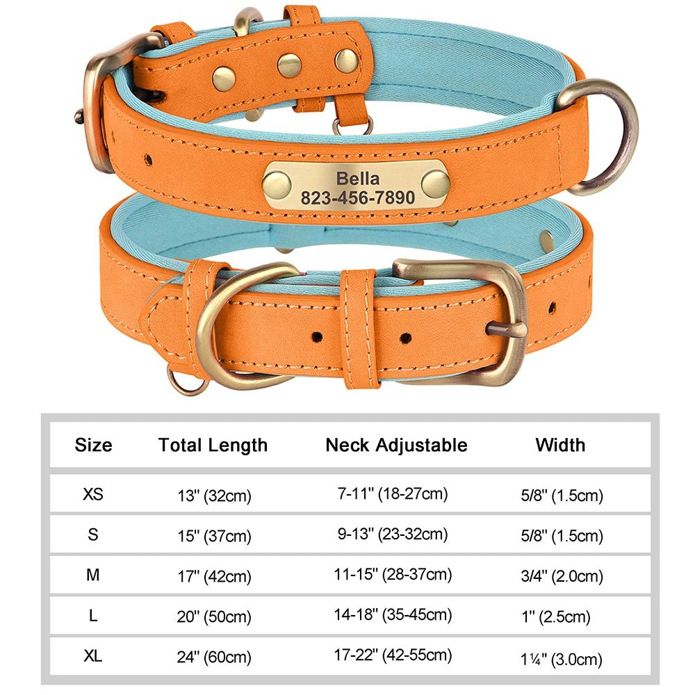 Engraved Leather Dog Collar - Custom ID Tag