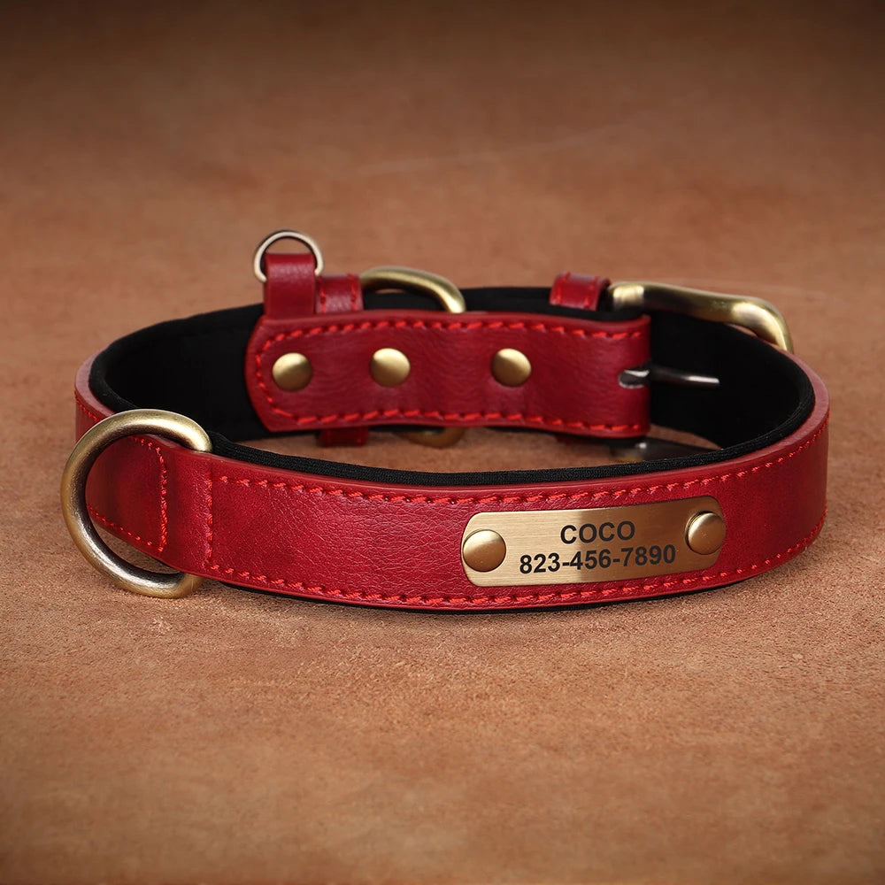 Engraved Leather Dog Collar - Custom ID Tag