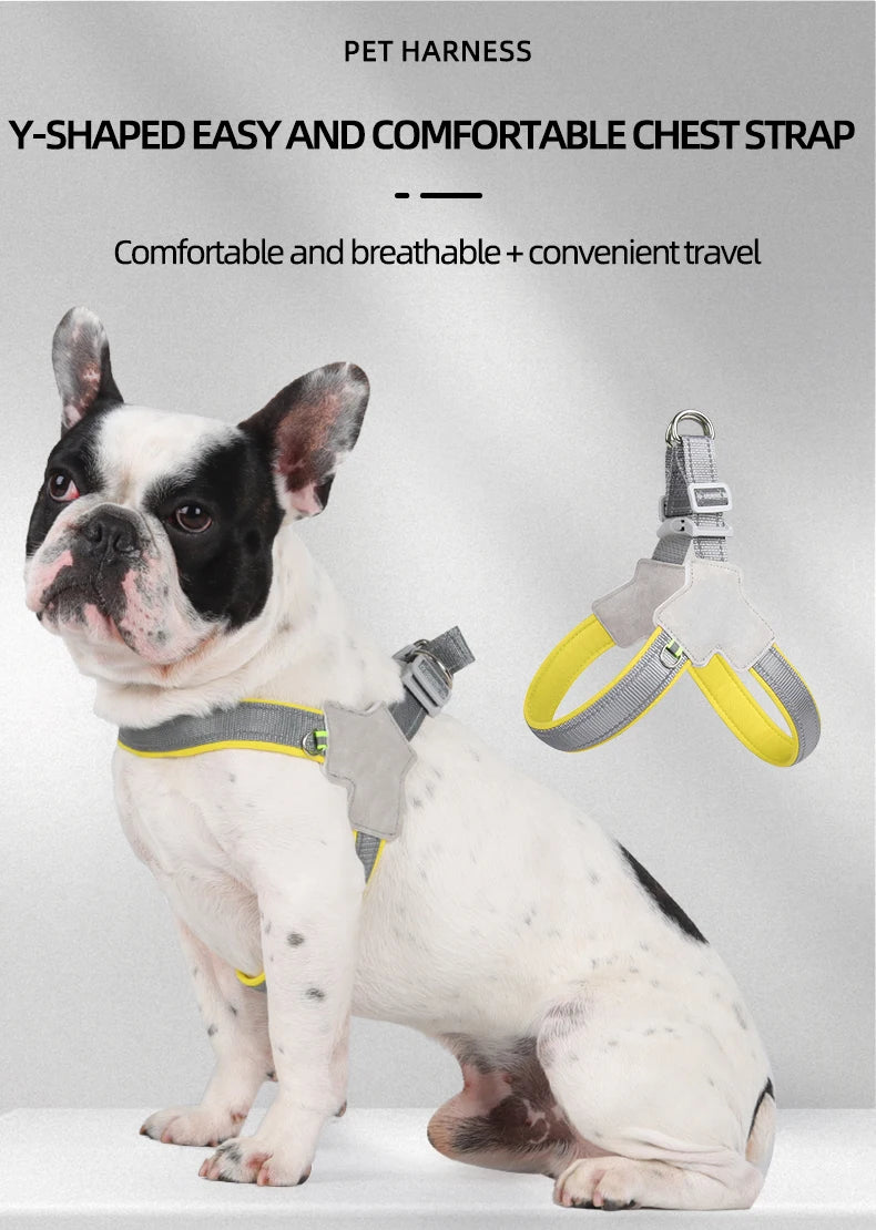 ShineSafe Pet Harness