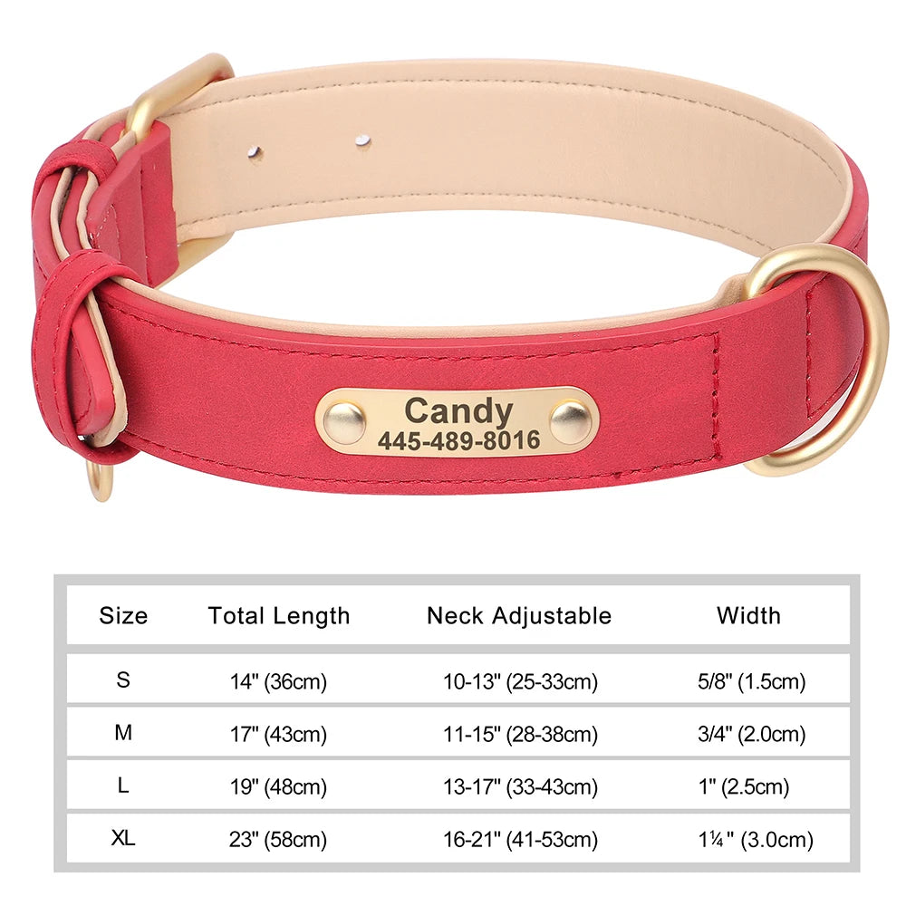 Engraved Leather Dog Collar - Custom ID Tag