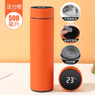 Temperature Display Insulated Vacuum Flask Replaceable Battery Thermos Cup Double Wall Steel Water Bottle Sports Thermos Bottle