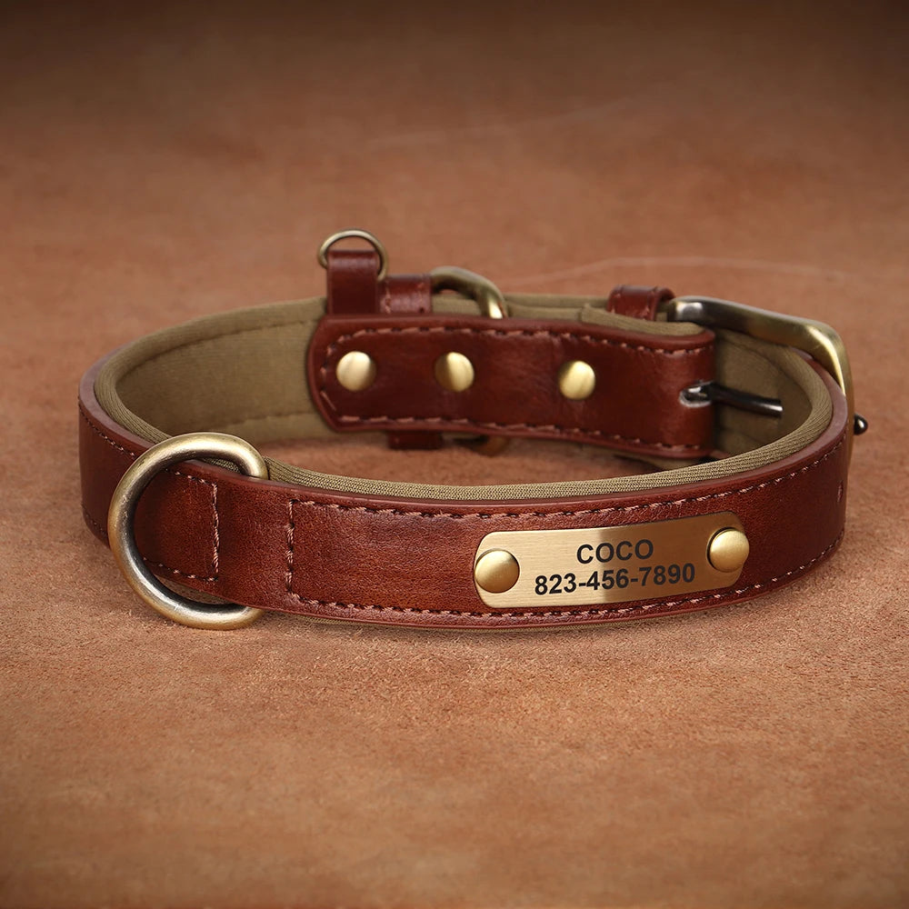Engraved Leather Dog Collar - Custom ID Tag