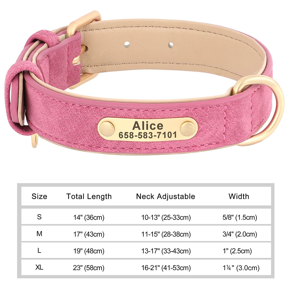 Engraved Leather Dog Collar - Custom ID Tag