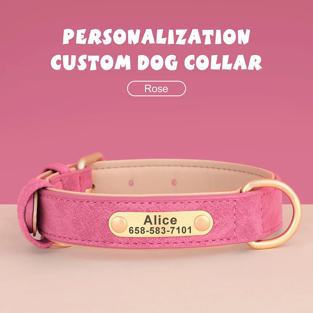 Engraved Leather Dog Collar - Custom ID Tag