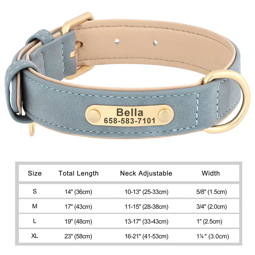 Engraved Leather Dog Collar - Custom ID Tag