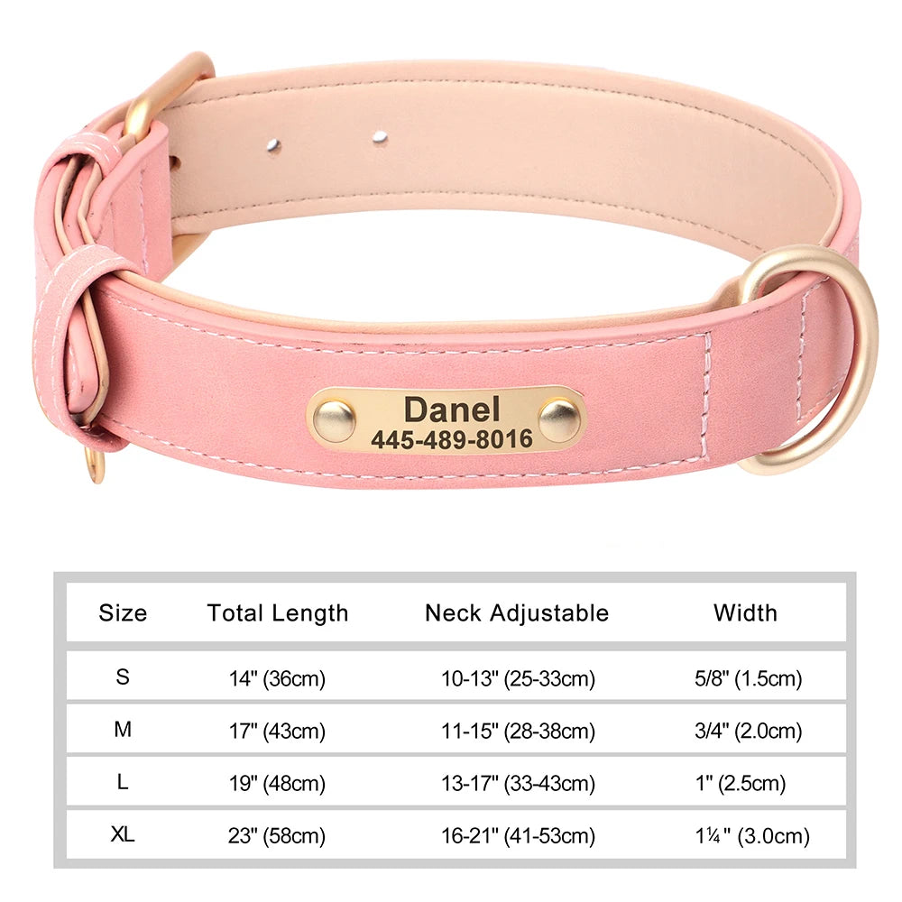 Engraved Leather Dog Collar - Custom ID Tag