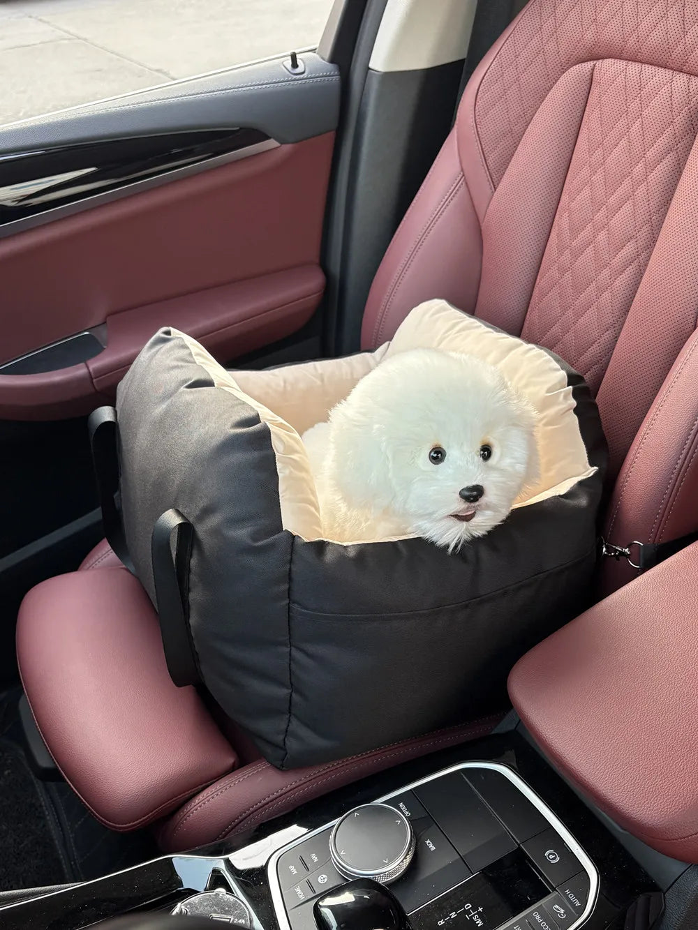 Canine Cruiser Bed & Belt