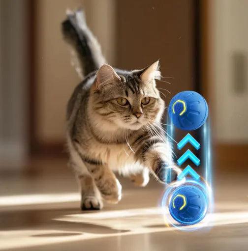 Interactive Smart Dog Toy Ball - Your Gift Ideas
