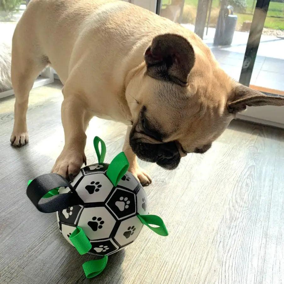 Interactive Dog Football - Your Gift Ideas