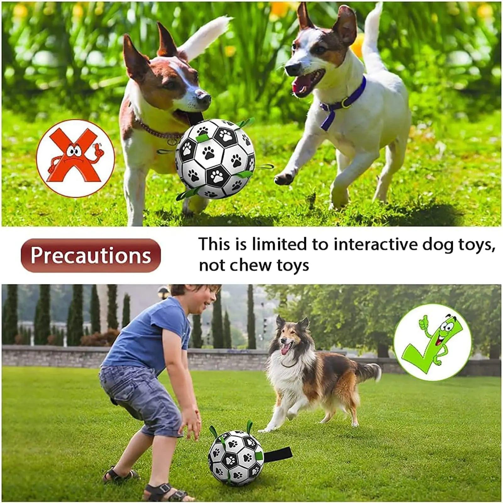Interactive Dog Football - Your Gift Ideas